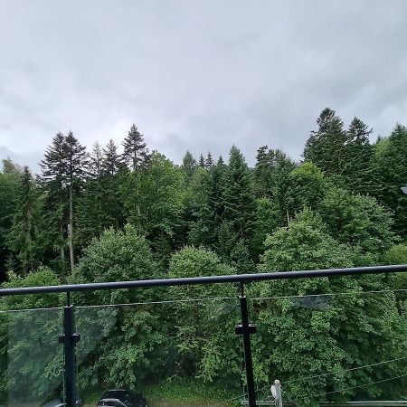 Apartament Apartament z antresolą Krynica-Zdrój Zewnętrze zdjęcie