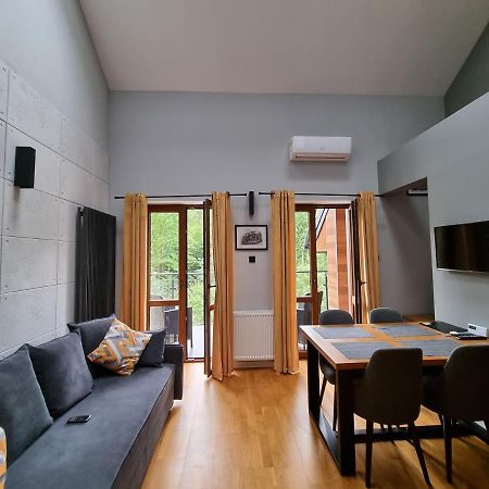 Apartament Apartament z antresolą Krynica-Zdrój Zewnętrze zdjęcie
